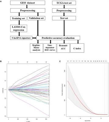 Prediction of Recurrence in Cervical Cancer Using a Nine-lncRNA Signature